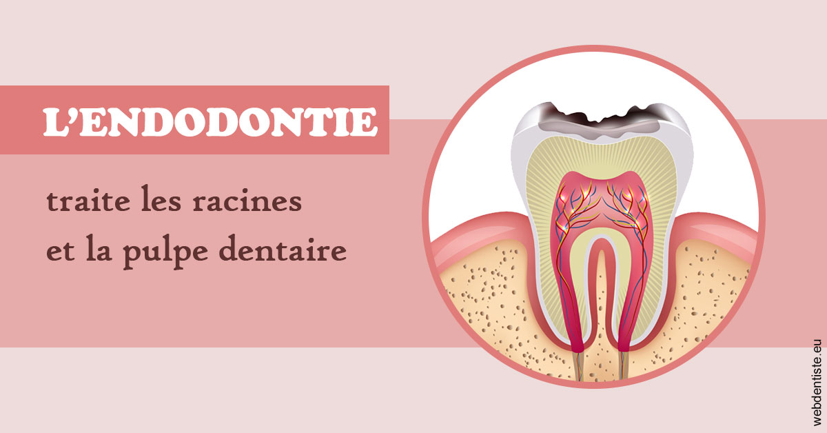 https://dr-nezri-mickael.chirurgiens-dentistes.fr/L'endodontie 2