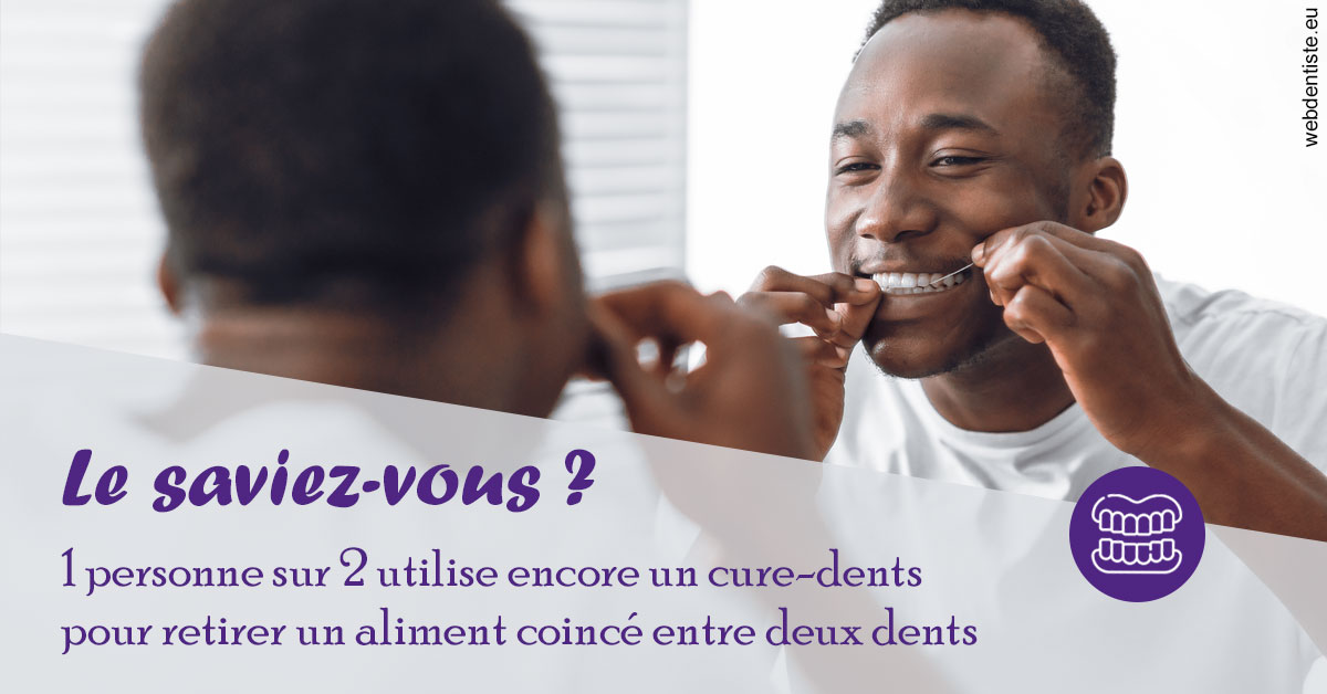 https://dr-nezri-mickael.chirurgiens-dentistes.fr/Cure-dents 2