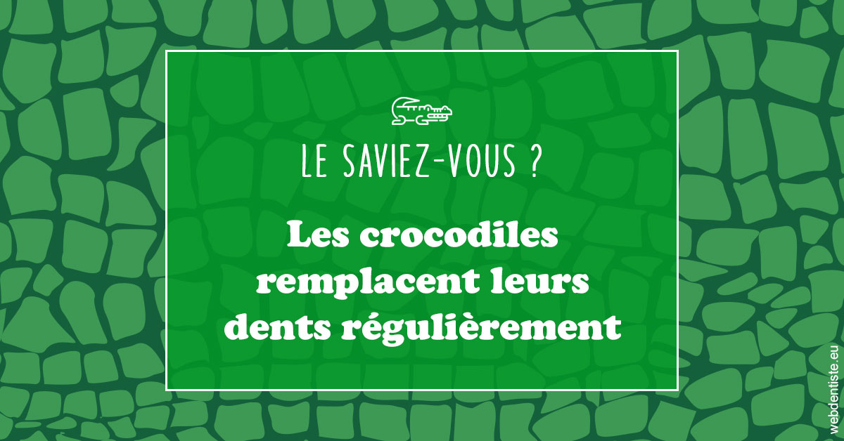 https://dr-nezri-mickael.chirurgiens-dentistes.fr/Crocodiles 1